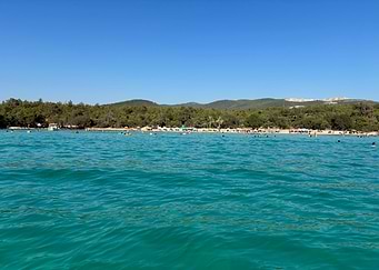 Latest drop