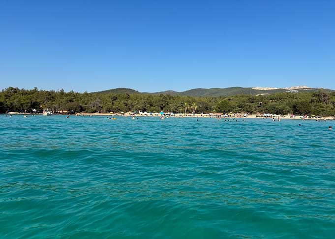Waves of Summer