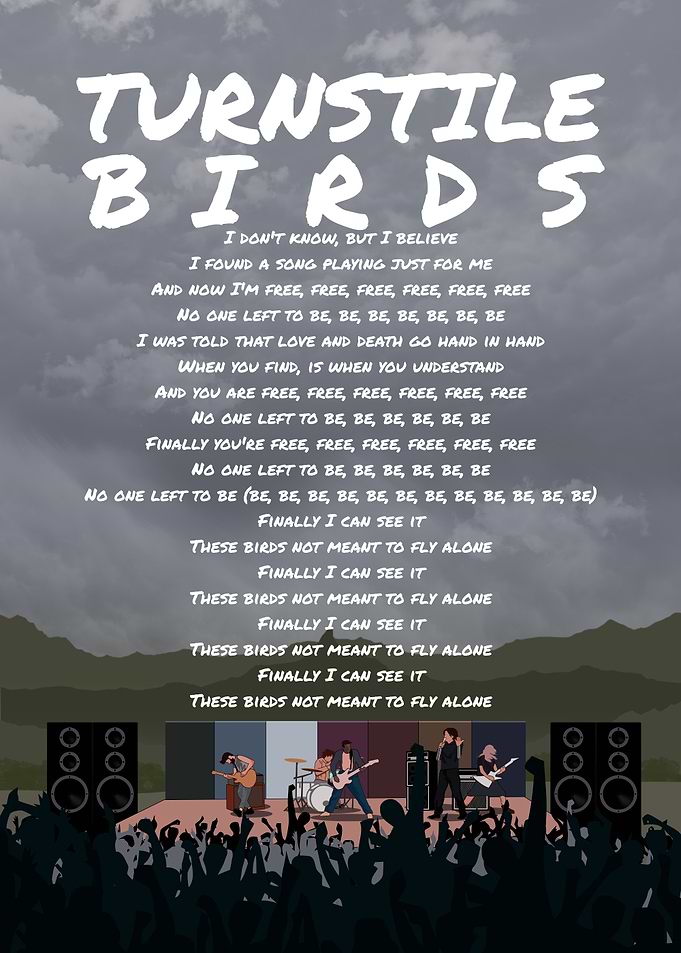 Turnstile Birds