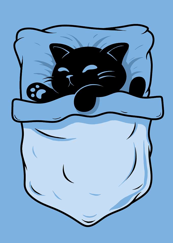 Sleeping Cat in Pocket Illustration