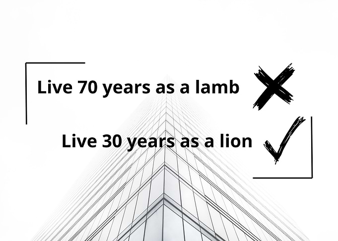 Lamb vs Lion: Life Choice