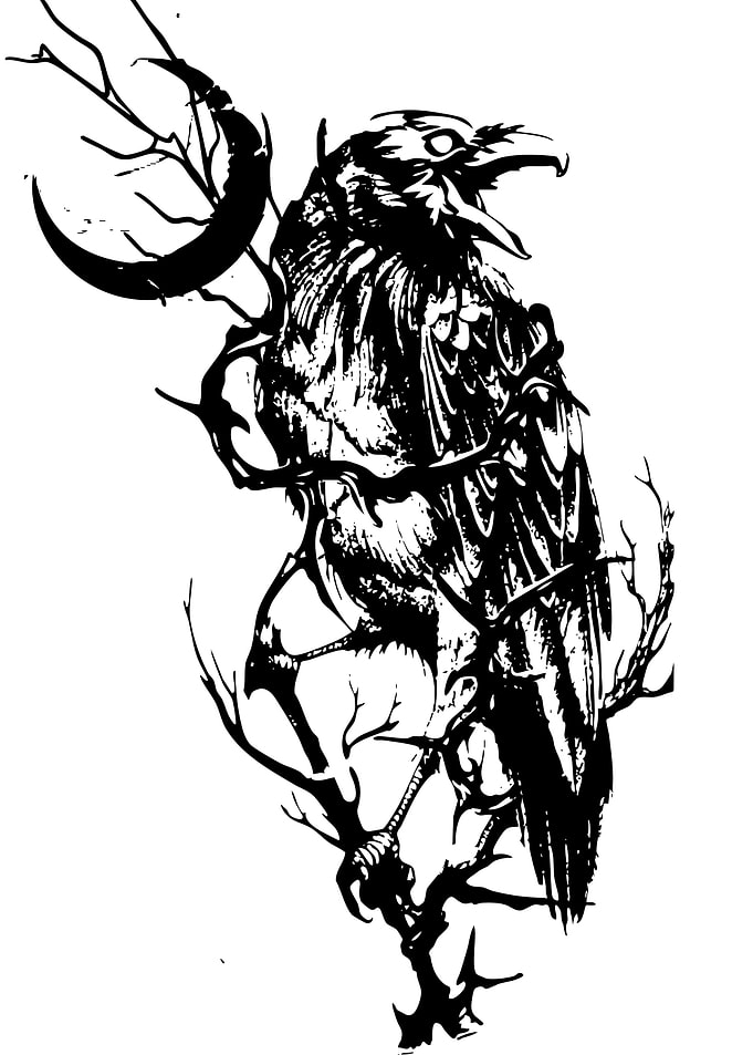 Raven and Crescent Moon Illustration