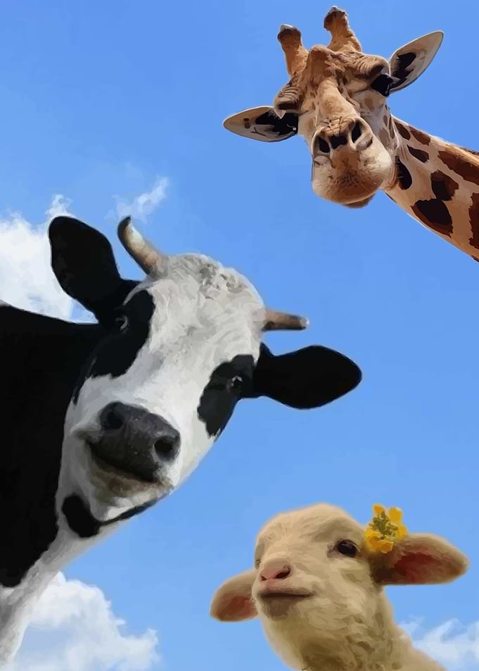 Giraffe, Cow, and Lamb Portrait