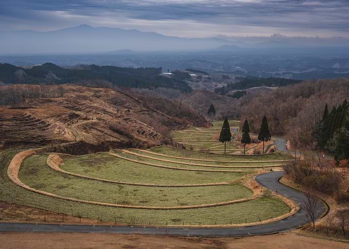 Rice Fields in Kyushu, Japan