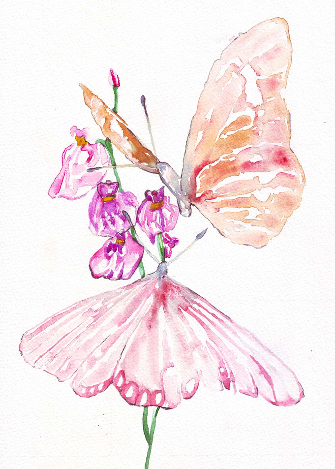Watercolor Butterfly and Flowers Painting