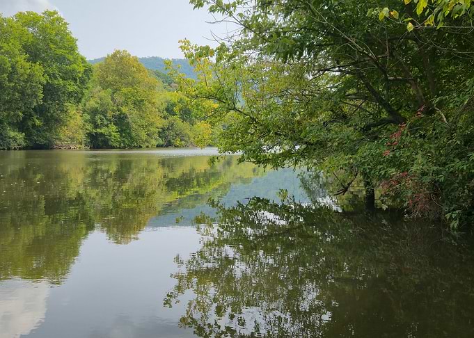 Reflection on the River