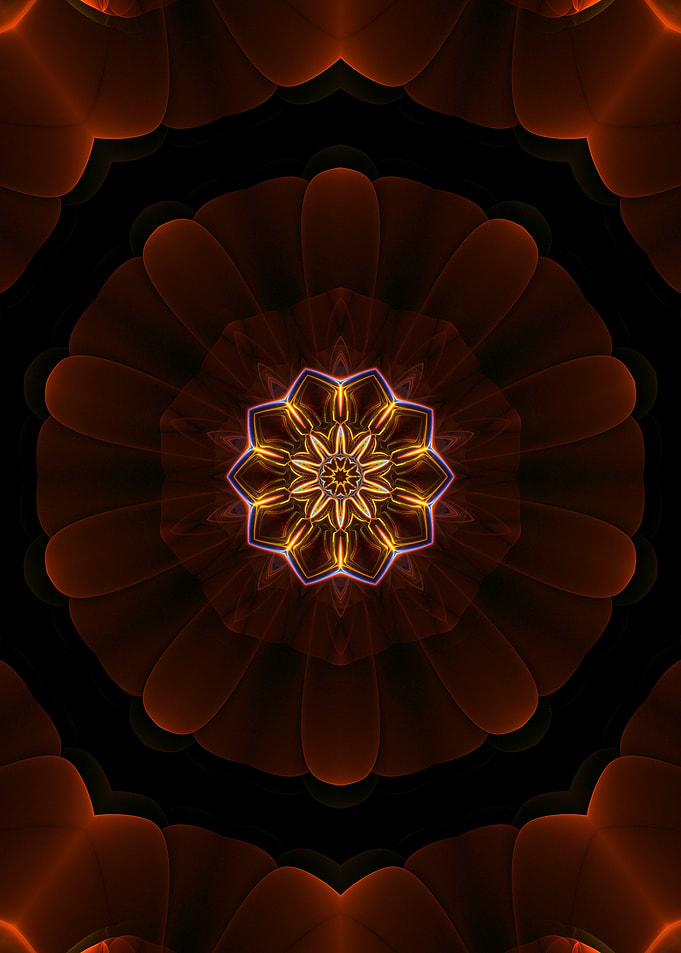 Lighting Up a Bloom