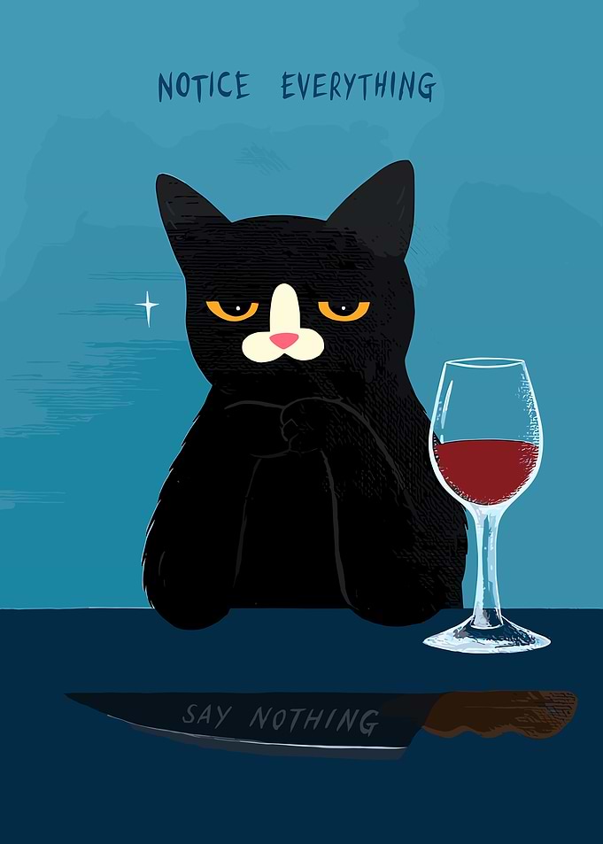 Notice Everything, Say Nothing Cat