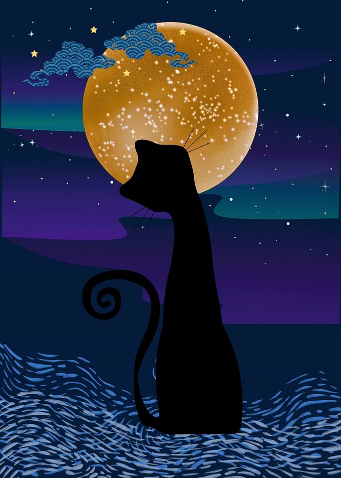 Black Cat Silhouette Under Starry Moon