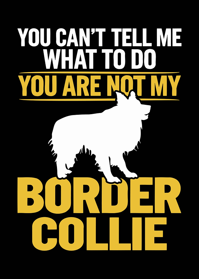 Border Collie Dog Lover