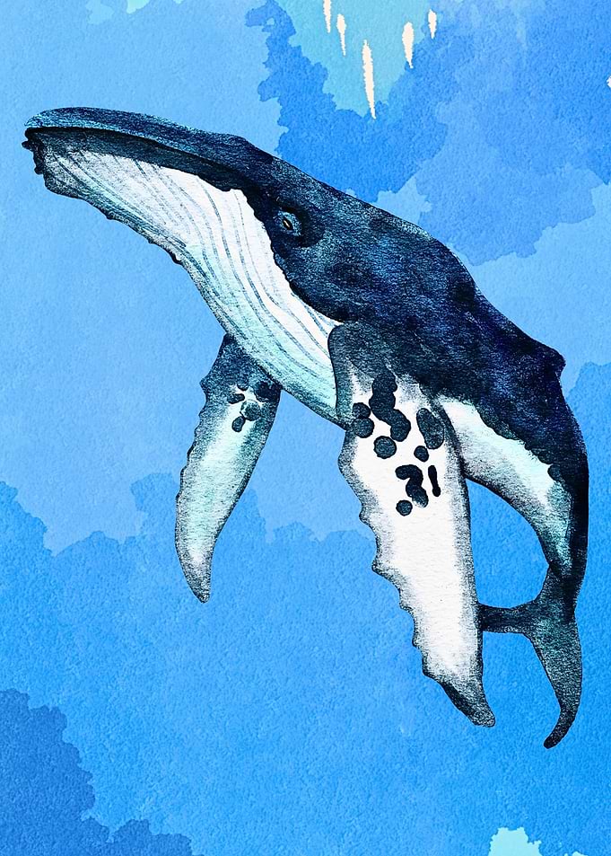 Watercolor Humpback Whale in Blue Ocean