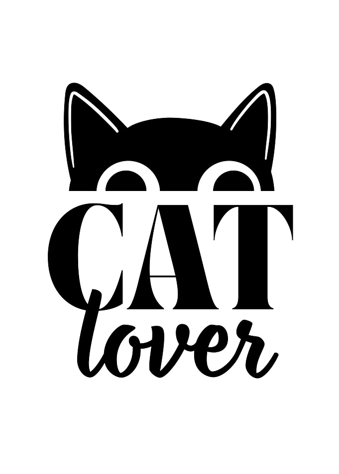 Cat Lover