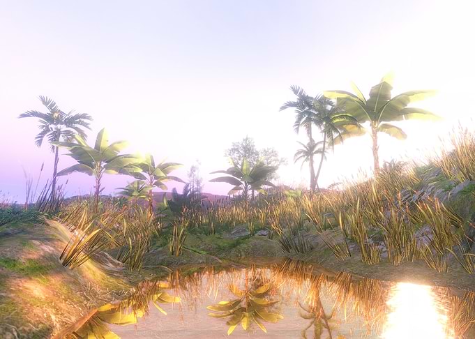 Tropical Landscape with Palm Trees Reflection