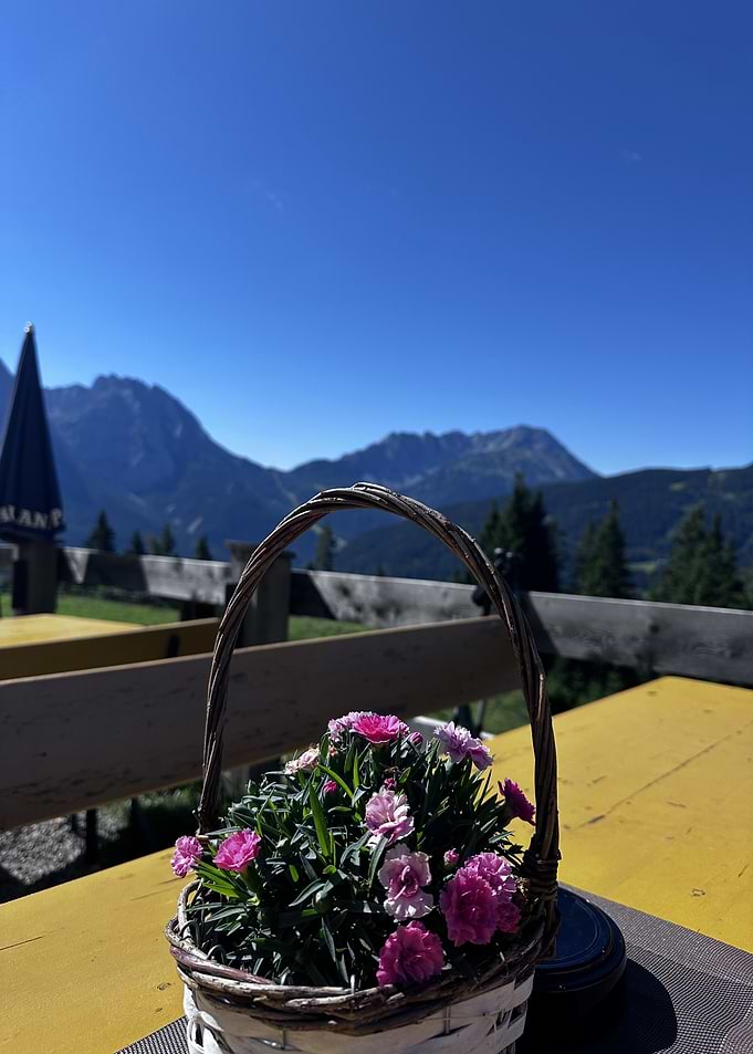 Flowers in basket with mountain view