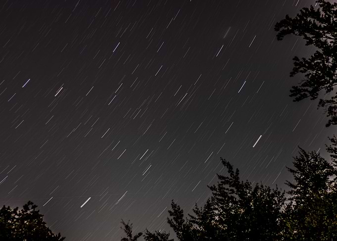 Star Trails Over Trees at Night