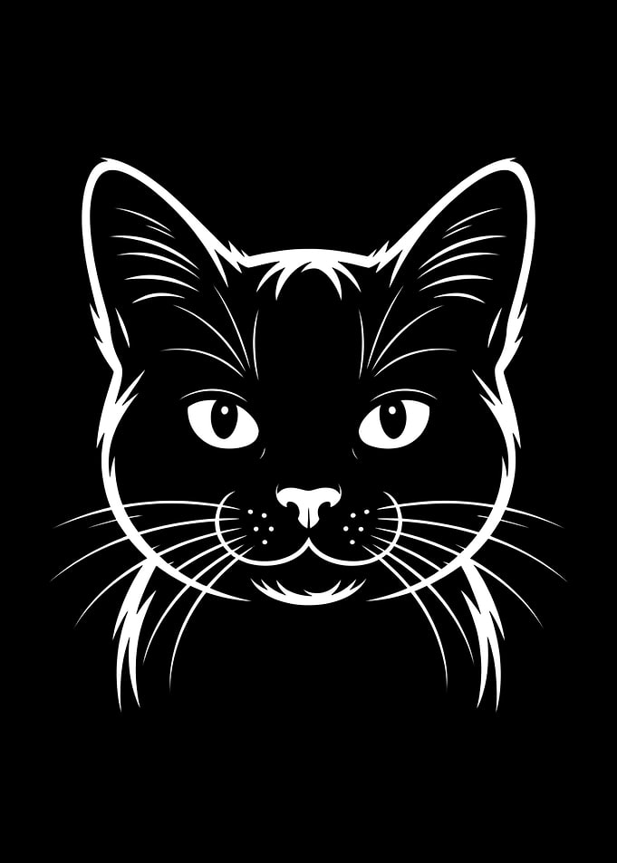 Artistic Cat Drawing Cat