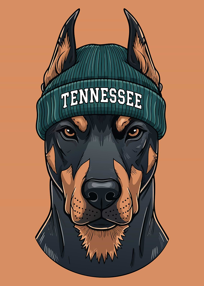 Doberman with Tennessee Beanie