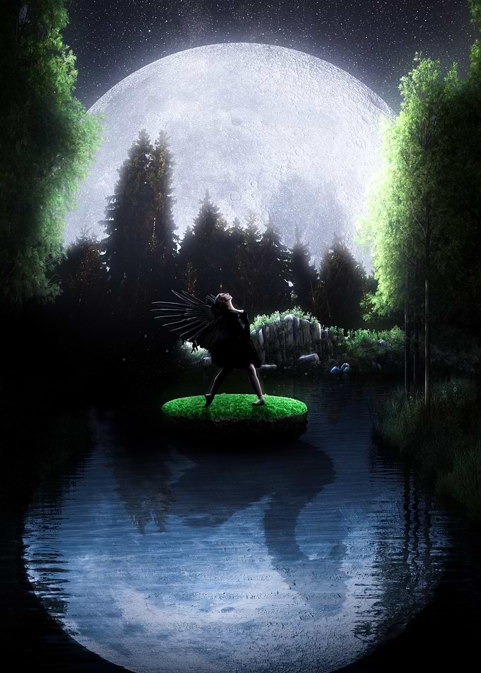 Enigma of the Midnight Swan