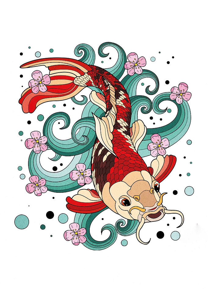 Koi Fish with Cherry Blossoms Illustration