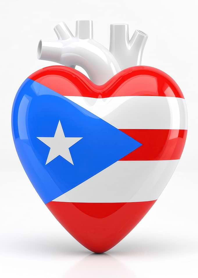 Puerto Rico Flag Heart Anatomy