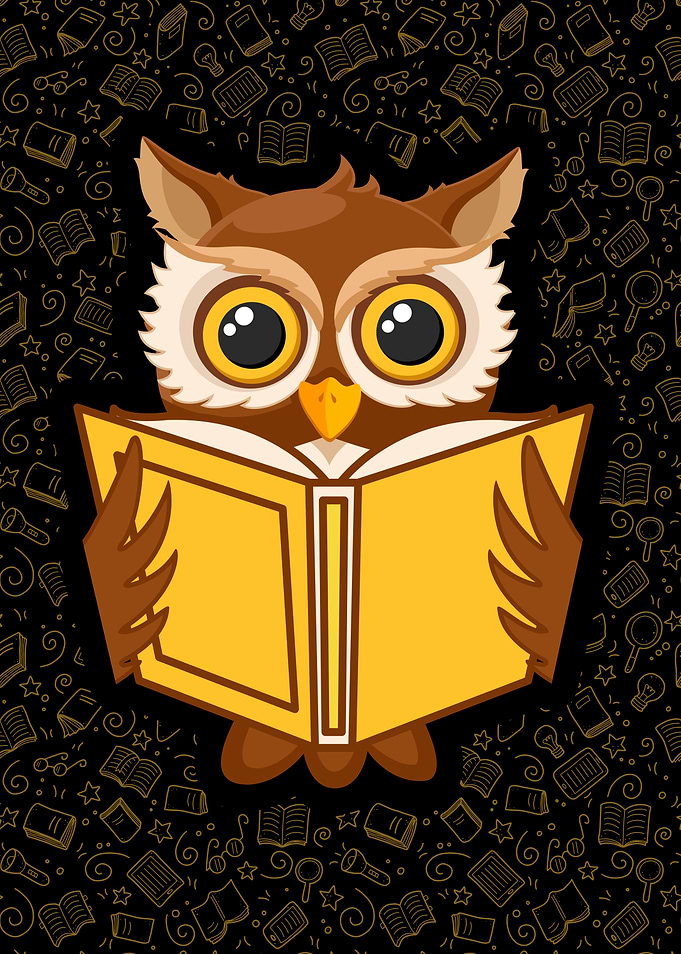 Cartoon Owl Reading a Book