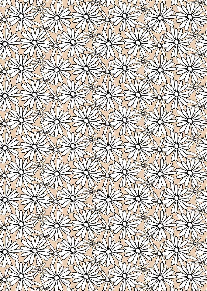 Daisy Flower Pattern on Beige Background