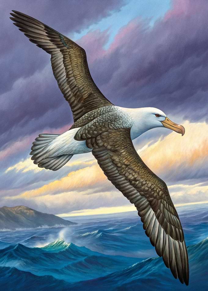 Albatross soaring over the ocean painting