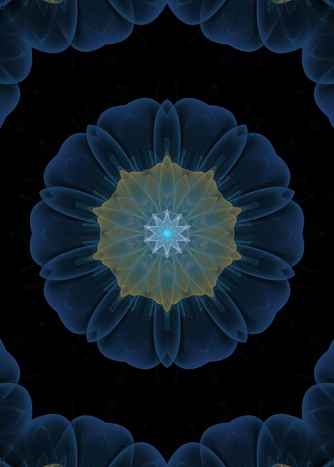 Delicate Petals