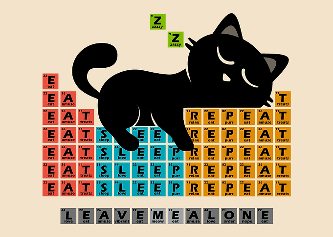 Cat Periodic Table – Cat's Daily Routine: Eat, Sleep, Repeat
