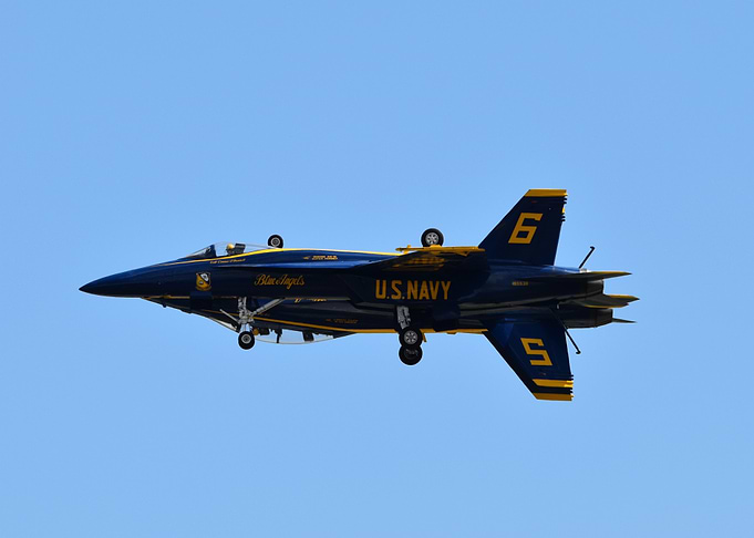 Blue Angels Boeing F/A-18 Super Hornet double