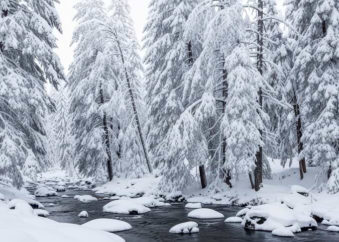 Snowy Forest River Landscape
