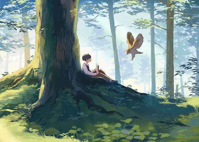 Boy Reading Under Tree with Owl