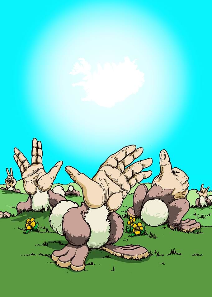 Hello Rabbit