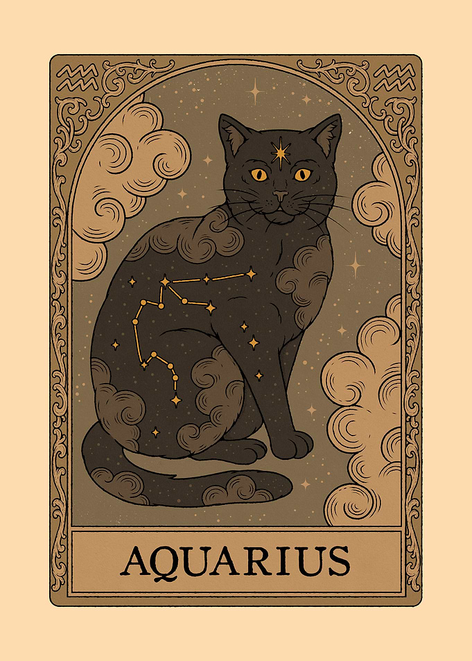 Cats Constellations - Aquarius