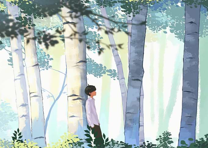 Boy in Birch Tree Forest Illustration
