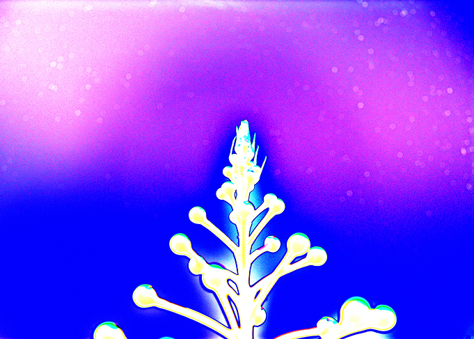 Abstract Floral Design on Colorful Background