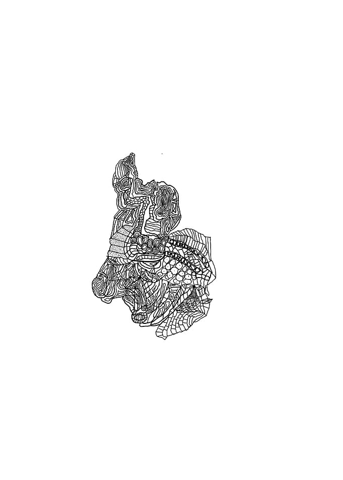 Abstract Black and White Line Art