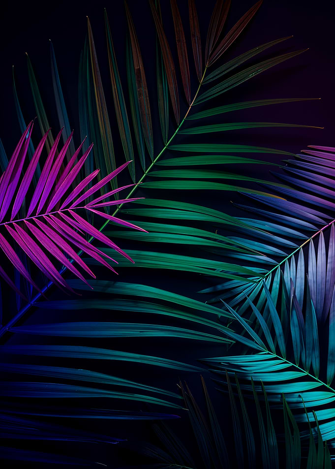 Neon Palm Leaves on Dark Background