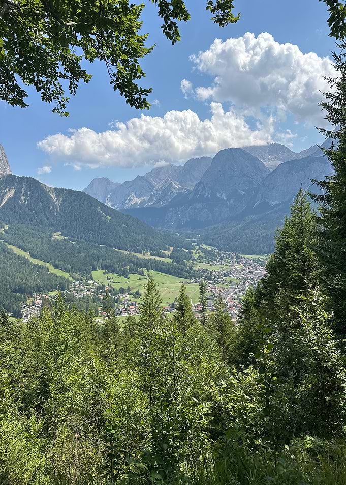 Mountain Valley View from Forest