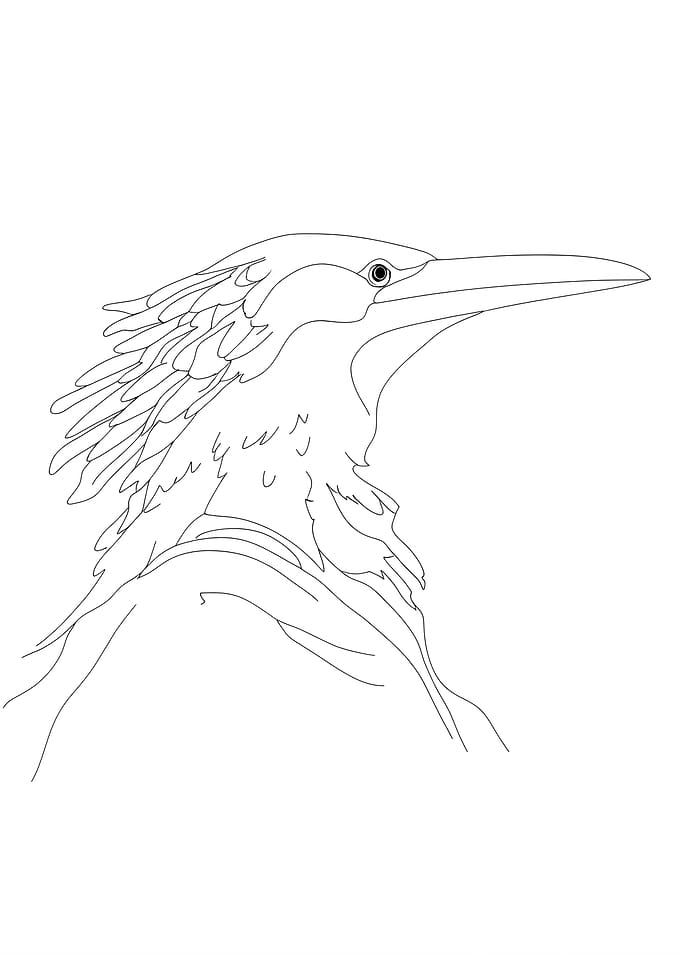 Fantasy Heron Creature Line Art