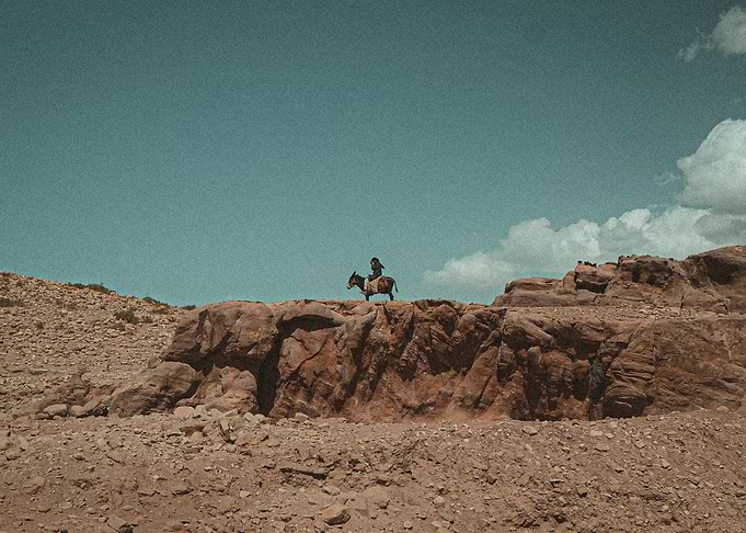 The Donkey Rider