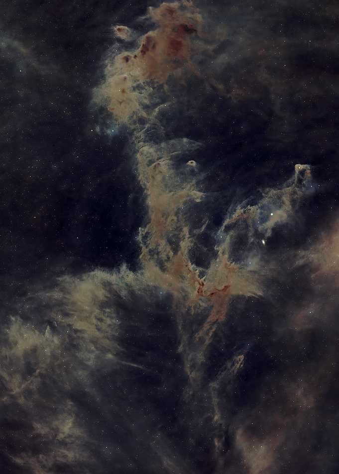 Chamaeleon Molecular Cloud