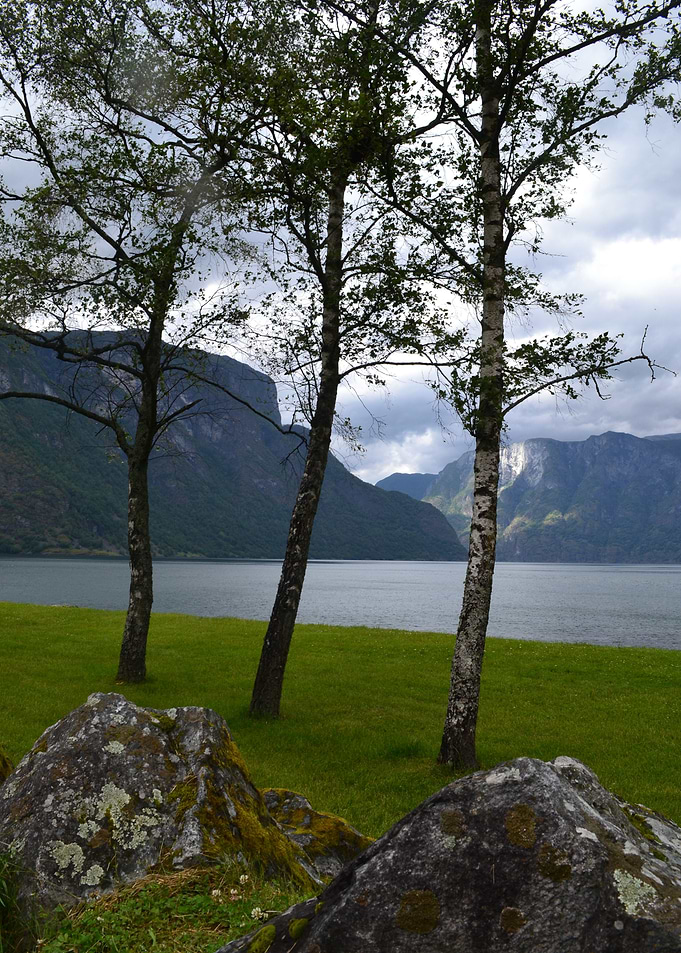Scenic Landscape with Trees and Mountains