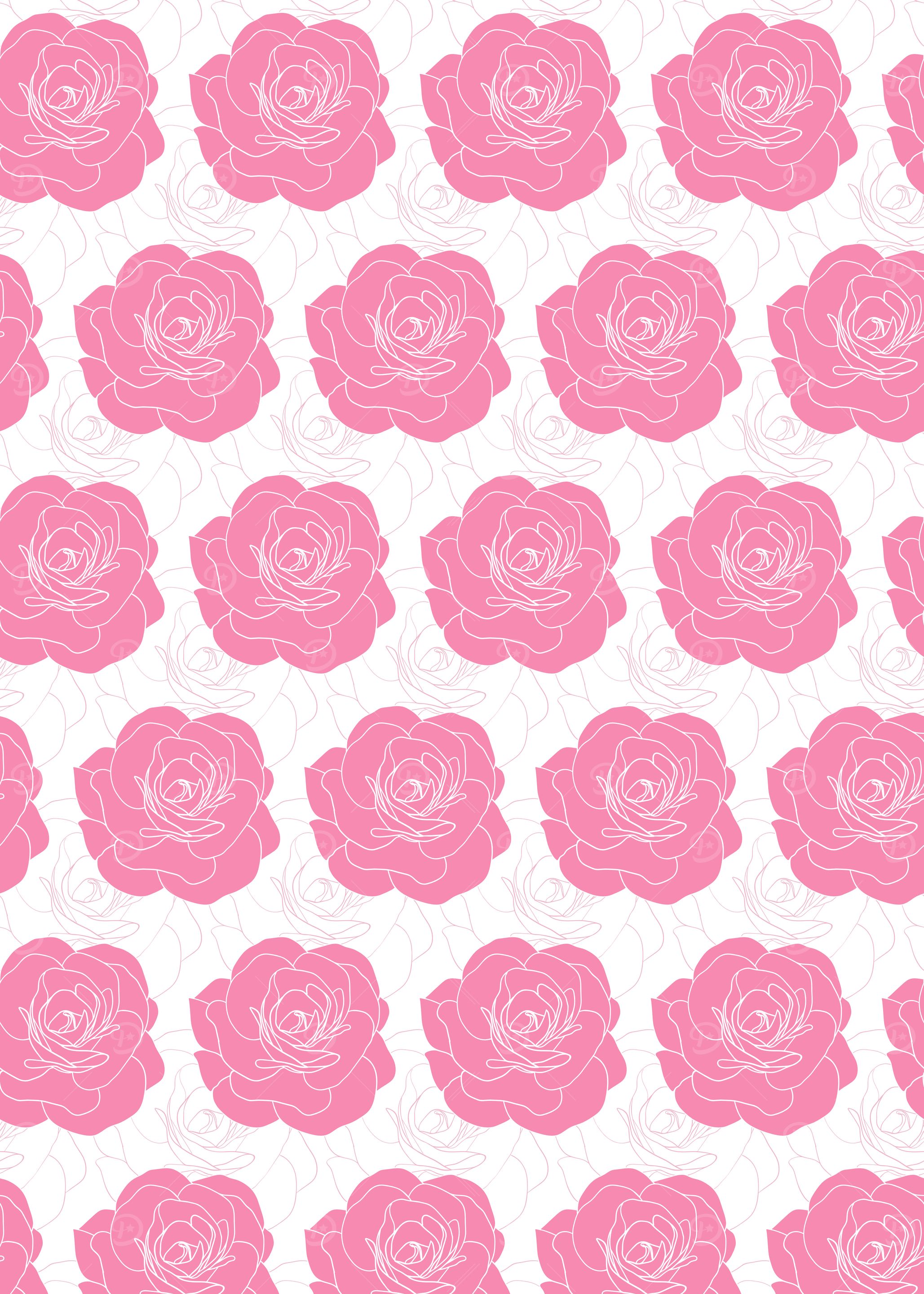 Pink Roses Pattern on White Background