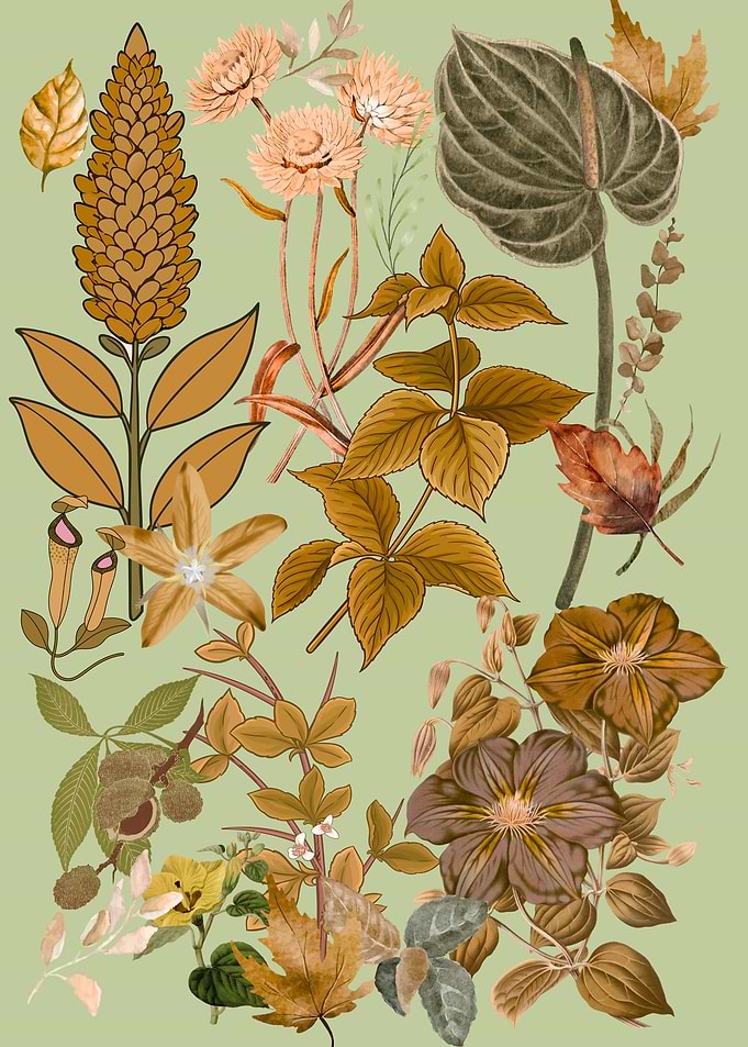 Botanical Illustration with Autumnal Tones
