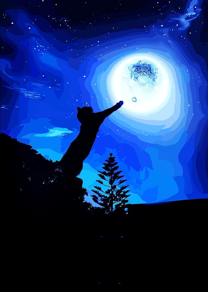 Cat Reaching for the Moon