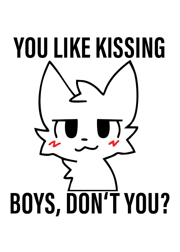 YOU LIKE KISSING BOYS, DON'T YOU ?