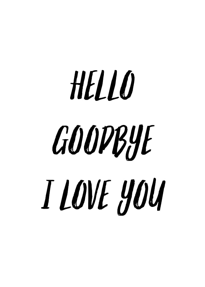 Hello Goodbye I Love You