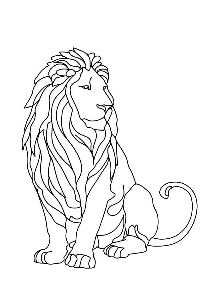 Lion Minimalist Line Art