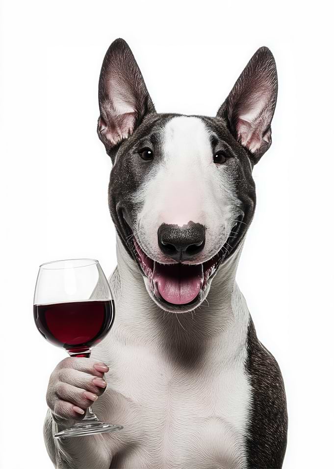Bull Terrier with Wine Glass